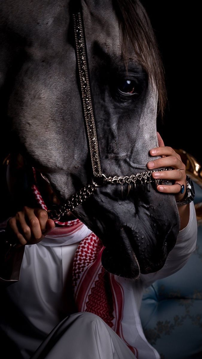 تصوير ساعة بصور غير محدودة